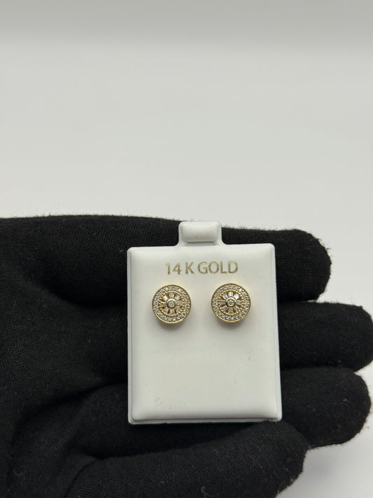 EARINNGS IN GOLD 14K