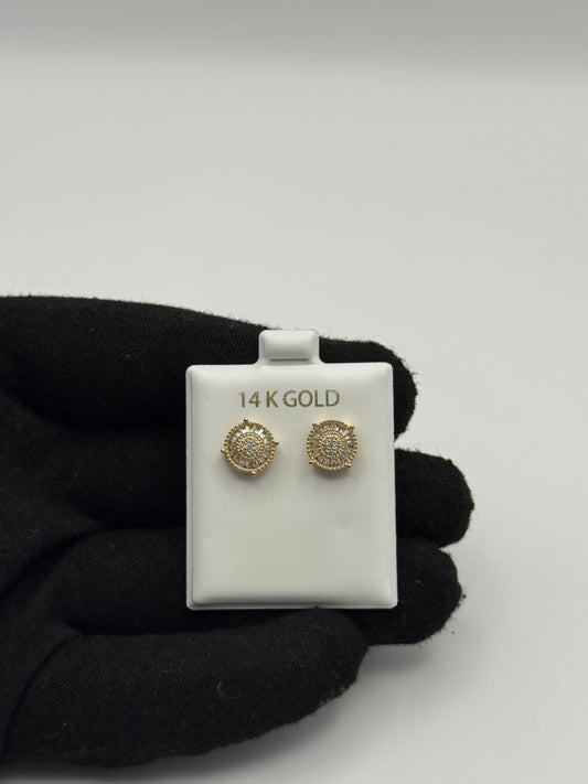 EARINNGS IN GOLD 14K