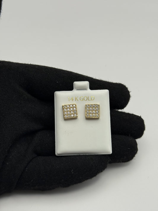 EARINNGS IN GOLD 14K