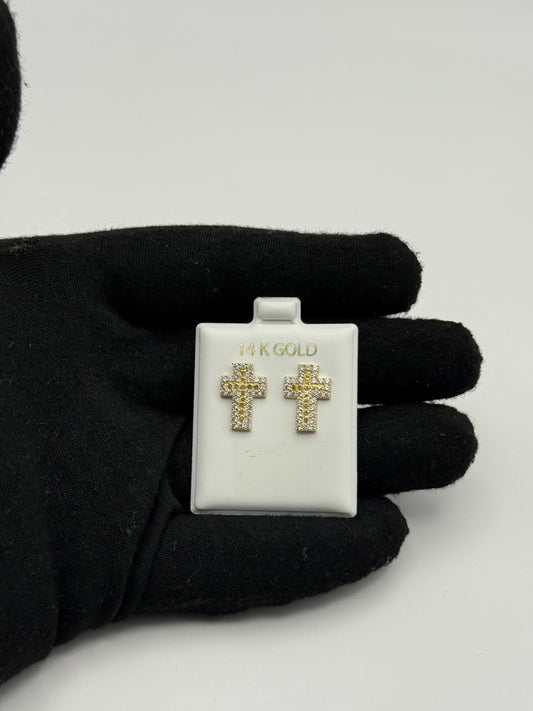 EARINNGS IN GOLD 14K