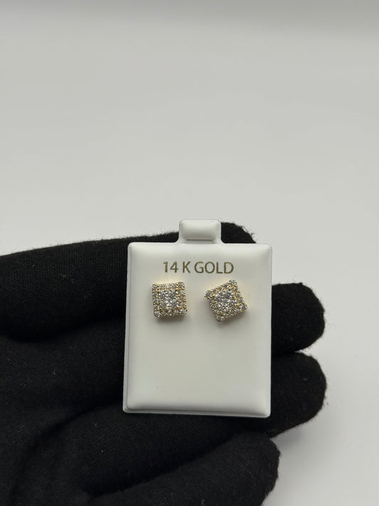 EARINNGS IN GOLD 14K