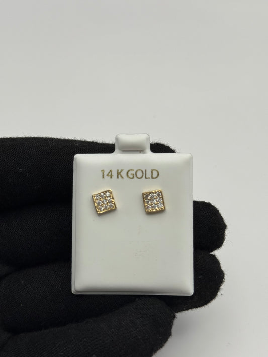 EARINNGS IN GOLD 14K