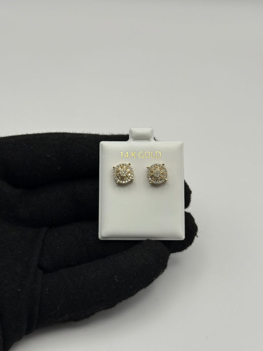 EARINNGS IN GOLD 14K