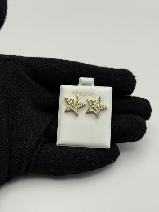 EARINNGS IN GOLD 14K