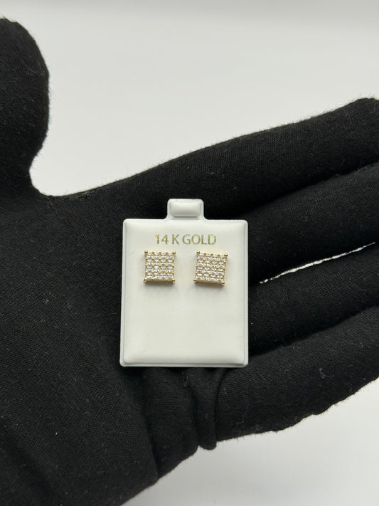 EARINNGS IN GOLD 14K